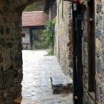KALOPANAGIOTIS-15