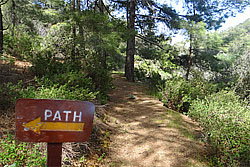 Hiking or Running